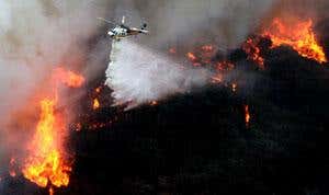 New Scientist. Science news and long reads from expert journalists, covering developments in science, technology, health and the environment on the website and the magazine.