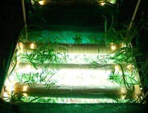 New Scientist. Science news and long reads from expert journalists, covering developments in science, technology, health and the environment on the website and the magazine.