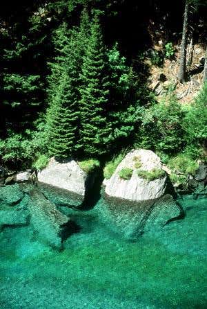 Swiss find sweet way to test water purity