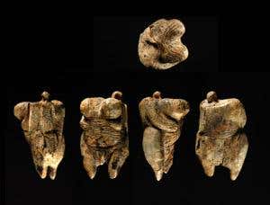 Further views of the Venus 