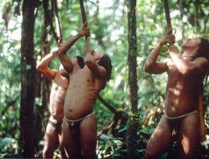 Oil road turns tribes into meat traders