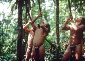 New Scientist. Science news and long reads from expert journalists, covering developments in science, technology, health and the environment on the website and the magazine.