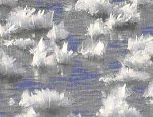 Mystery of frost flower growth explained