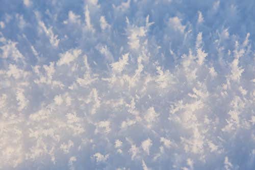 Frost flowers on the ice shelf near Barrow, Alaska. The image was captured as part of a study by the OASIS project 2009 