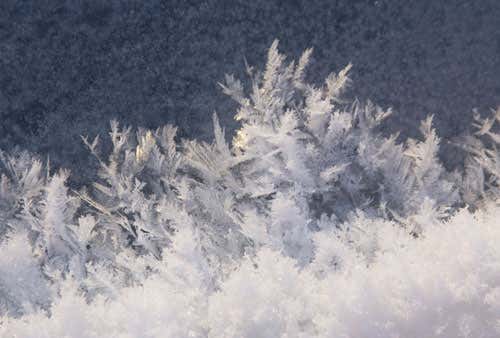 Central to the OASIS campaign is the quantitative and reliable determination of chemical and biological fluxes to and from ice and snow surfaces, as a function of the nature of the surface and other relevant environmental conditions 