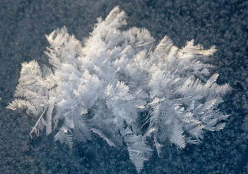 Frost flowers on the ice shelf near Barrow, Alaska 