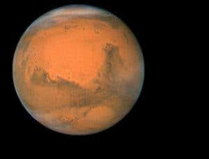 Chilly brine could have harboured life on Mars