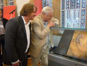 Q&A: Jørn Hurum on Ida, media hype and primate evolution