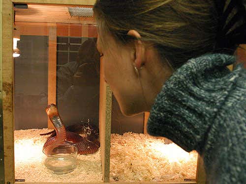 New Scientist. Science news and long reads from expert journalists, covering developments in science, technology, health and the environment on the website and the magazine.