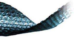 New Scientist. Science news and long reads from expert journalists, covering developments in science, technology, health and the environment on the website and the magazine.