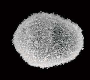 New Scientist. Science news and long reads from expert journalists, covering developments in science, technology, health and the environment on the website and the magazine.