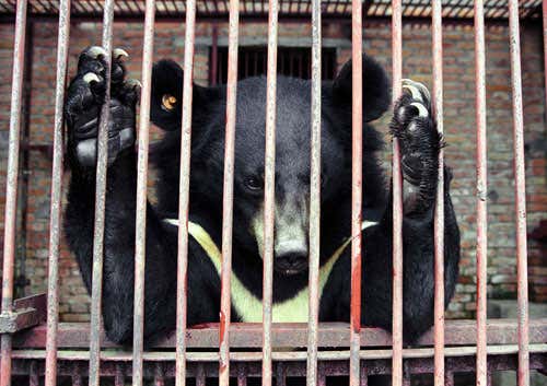 New Scientist. Science news and long reads from expert journalists, covering developments in science, technology, health and the environment on the website and the magazine.