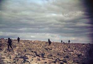 The man who revealed the secrets of sweat