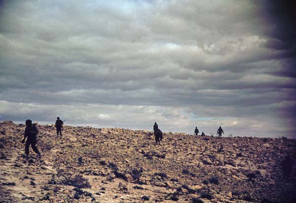 New Scientist. Science news and long reads from expert journalists, covering developments in science, technology, health and the environment on the website and the magazine.