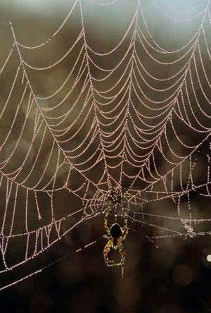 New Scientist. Science news and long reads from expert journalists, covering developments in science, technology, health and the environment on the website and the magazine.