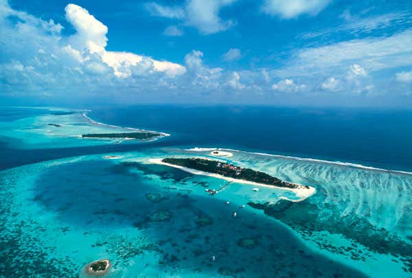 New Scientist. Science news and long reads from expert journalists, covering developments in science, technology, health and the environment on the website and the magazine.