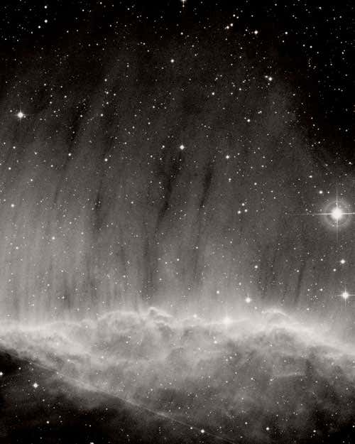 New Scientist. Science news and long reads from expert journalists, covering developments in science, technology, health and the environment on the website and the magazine.