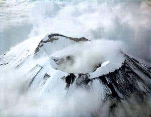 New Scientist. Science news and long reads from expert journalists, covering developments in science, technology, health and the environment on the website and the magazine.