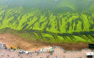 New Scientist. Science news and long reads from expert journalists, covering developments in science, technology, health and the environment on the website and the magazine.