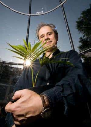 Growing biofuel without razing the rainforest