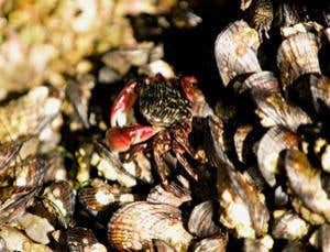 New Scientist. Science news and long reads from expert journalists, covering developments in science, technology, health and the environment on the website and the magazine.