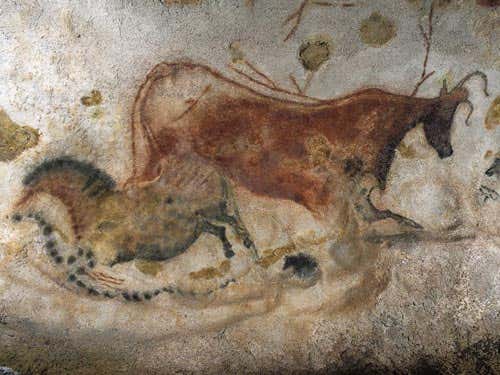 The team think the bacteria started to arrive in 1940, when the caves were discovered and opened to the public 