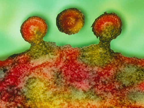 New Scientist. Science news and long reads from expert journalists, covering developments in science, technology, health and the environment on the website and the magazine.