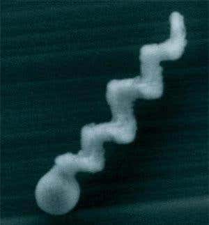 New Scientist. Science news and long reads from expert journalists, covering developments in science, technology, health and the environment on the website and the magazine.