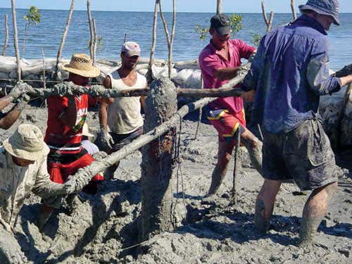 Houses in Los Buchillones were built on stilts over a lagoon. The 2004 excavation revealed many structural house posts like this one 