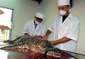 New Scientist. Science news and long reads from expert journalists, covering developments in science, technology, health and the environment on the website and the magazine.