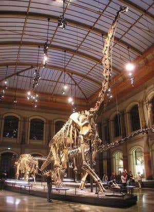 New Scientist. Science news and long reads from expert journalists, covering developments in science, technology, health and the environment on the website and the magazine.