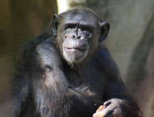 New Scientist. Science news and long reads from expert journalists, covering developments in science, technology, health and the environment on the website and the magazine.