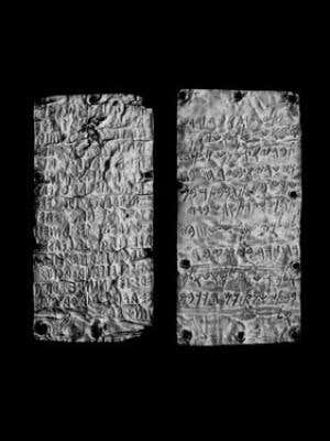 New Scientist. Science news and long reads from expert journalists, covering developments in science, technology, health and the environment on the website and the magazine.