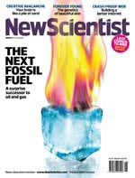 New Scientist issue 2714 cover