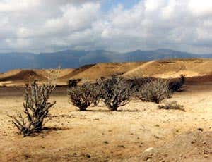 The Dhofar region of Southern Oman, on the eastern border of Yemen, where the moon rock was found 