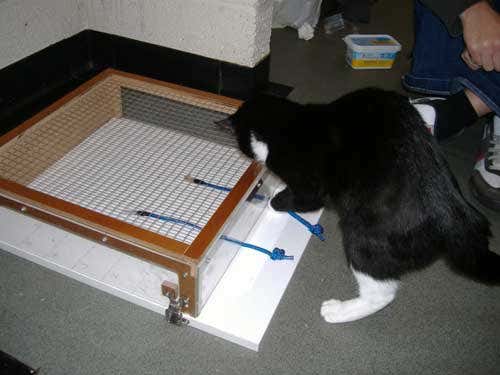 New Scientist. Science news and long reads from expert journalists, covering developments in science, technology, health and the environment on the website and the magazine.