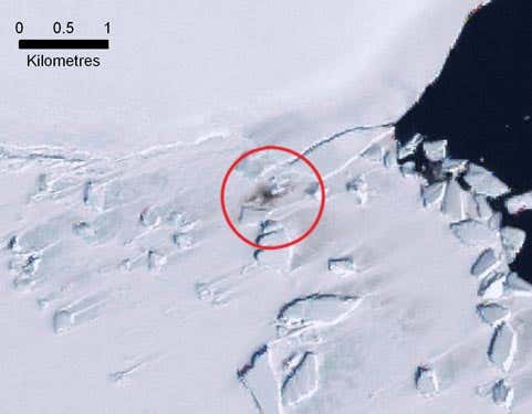 The Halley Bay colony can be seen in satellite images 