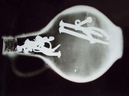 New Scientist. Science news and long reads from expert journalists, covering developments in science, technology, health and the environment on the website and the magazine.