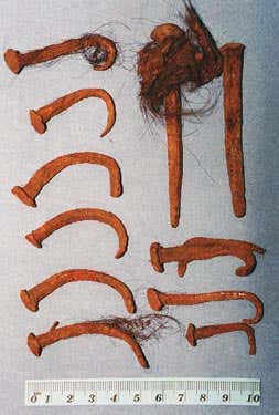 Iron nails - the longest is 9 centimetres - and hair discovered inside the bottle