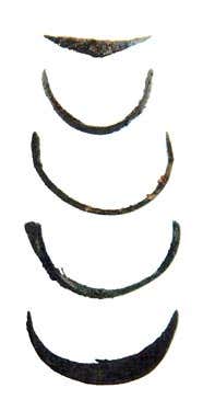 10 manicured nail parings found inside the bottle