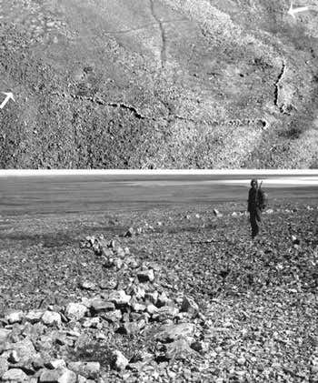 New Scientist. Science news and long reads from expert journalists, covering developments in science, technology, health and the environment on the website and the magazine.