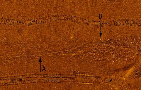 Sonar images reveal a feature resembling a caribou drive on the bottom of Lake Huron 