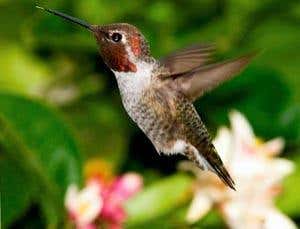 New Scientist. Science news and long reads from expert journalists, covering developments in science, technology, health and the environment on the website and the magazine.