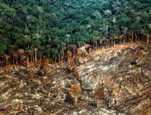 New Scientist. Science news and long reads from expert journalists, covering developments in science, technology, health and the environment on the website and the magazine.