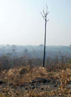 New Scientist. Science news and long reads from expert journalists, covering developments in science, technology, health and the environment on the website and the magazine.
