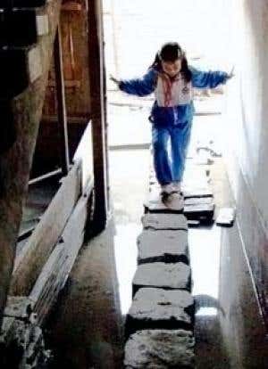 New Scientist. Science news and long reads from expert journalists, covering developments in science, technology, health and the environment on the website and the magazine.