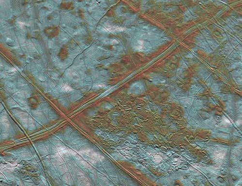 New Scientist. Science news and long reads from expert journalists, covering developments in science, technology, health and the environment on the website and the magazine.