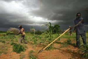 African farms becoming too hot to handle