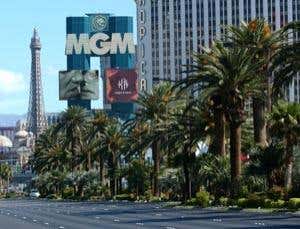 Leafing Las Vegas: Health dangers of city plants revealed