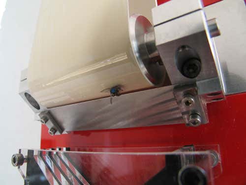 New Scientist. Science news and long reads from expert journalists, covering developments in science, technology, health and the environment on the website and the magazine.